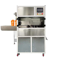 Machine de remplissage et de capsulage pour jus en acier inoxydable 1-6 buses avec bec automatique pour yaourt pompe à piston pour boisson liquide