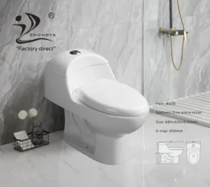 ZHONGYA vendita calda sud america sifone standard lavaggio inodore s-trap sanitari in ceramica da pavimento servizi igienici monopezzo