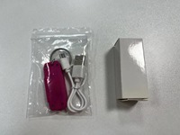 Mini lampe torche UV rechargeable 395nm, porte-clés LED portable pour détection de devises, design animal fantaisie, vente en gros