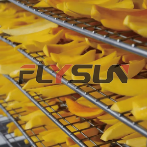 Sécheuse à noix Flysun personnalisée, équipement de séchage à pompe à chaleur, plateau de séchage pour noix, machine de séchage pour noix - Product Image 4