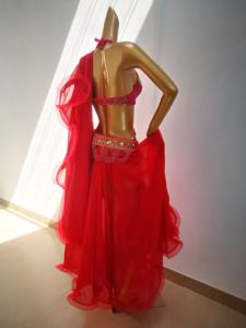 Vente flash - Ensemble de costumes de danse du ventre professionnels pour femmes, tenues de spectacle, costumes de <span class=keywords><strong>danseuse</strong></span> <span class=keywords><strong>Bollywood</strong></span>, vêtements de danse du ventre - Product Image 4