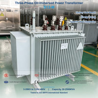 Transformateur de distribution immergé dans l'huile S13-M, enroulement en aluminium, faible perte, 11kV 33kV, triphasé, économique, IEC60076