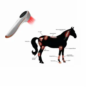Paardenkoude Lasertherapie Klasse 3b Laser Veterinaire Therapeutische Therapi Laser Honden Klasse 4