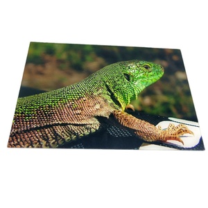 Plaque en acrylique coulé transparent 1mm-50mm, taille personnalisée, panneau <span class=keywords><strong>PMMA</strong></span> pour <span class=keywords><strong>gravure</strong></span> <span class=keywords><strong>laser</strong></span> - Product Image 3