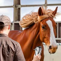 Tondeuse à cheveux pour chevaux électrique sans fil rechargeable personnalisée avec lame en céramique 2000 mAh