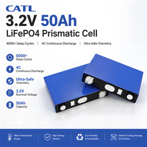 Batterie lithium <span class=keywords><strong>rechargeable</strong></span> Deep Cycle CATL 50Ah 3.2V LFP pour scooter électrique, vélo électrique, voiturette de <span class=keywords><strong>golf</strong></span>, marine, camping-car, bricolage, neuve - Product Image 1