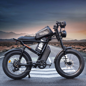 Vélo électrique tout-terrain Ridingtimes Z8PRO 20 pouces avec pneus larges, moteur 750W, batterie lithium 48V, vélo électrique de ville - Product Image 1