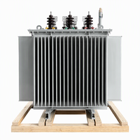Transformateur triphasé immergé dans l'huile 50 kVA 100 kVA 160 kVA 200 kVA 315 kVA, entrée 11 kV 22 kV 33 kV 35 kV, sortie 220 V 380 V 400 V 600 V 800 V