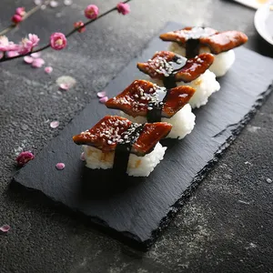 Bandeja de comida para barbacoa plana, placa de exhibición japonesa de Sushi, de piedra de Lava, 10 Uds.