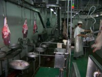 Étourdisseur électrique automatique haute performance pour porcs, machine d'abattage de porcs pour ligne de traitement d'abattoir de porc