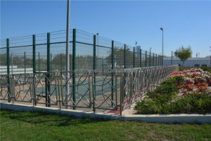 Задний двор SS забор уединенный сад поле для гольфа сетчатое ограждение против подъема защитное ограждение - Product Image 5