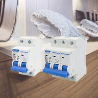 Disjoncteur différentiel Chint XB-63 2P CType magnétique simple 6kA 400V 50Hz pour usage domestique, protection contre les fuites, multi-spécifications, montage modulaire/sur rail, PA66