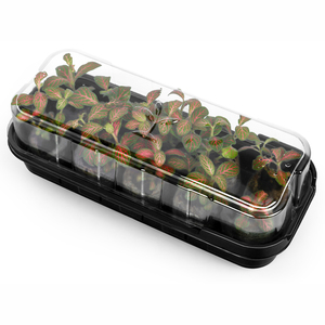 Professional Manufacturer Seed Growing Tray Seed Starting Trays