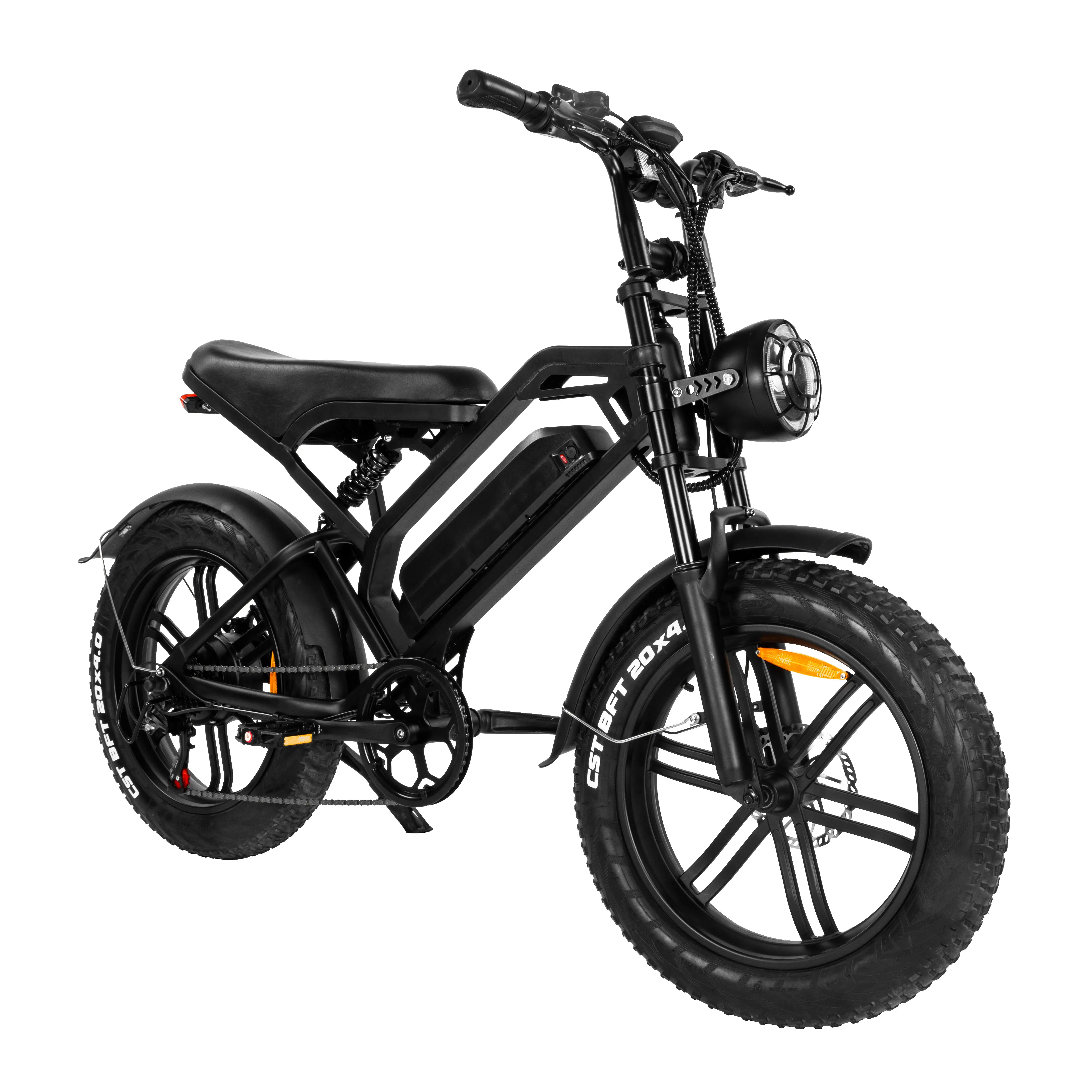 Adult Electric Bicycle Bike Fat Tire Dirt Adult Mini Cycle Fat Tire E Bike Mountain Bike Fat Tire