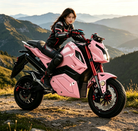 Moto électrique à deux roues 3000W très populaire, niveau course, stock important, surveillance de la santé de la batterie, protection contre les surcharges, prix abordable