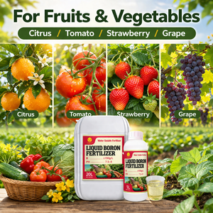 Fertilizante Líquido de Boro Premium, Suplemento Orgánico de Oligoelementos, Previene la Caída de Flores en Árboles <span class=keywords><strong>Frutales</strong></span>, Cítricos, Uvas y Vegetales - Product Image 6