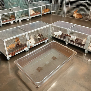 आधुनिक क्लासिक प्लास्टिक ऐक्रेलिक एक्रेलिक एब्स पीपी प्रयोगशाला रोडेंट टब बॉक्स सरल सांप प्रजनन केज चूहों के वाहक फार्म उपयोग - Product Image 6