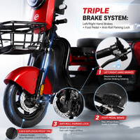 Tricycle Électrique 3 Roues 1000W d'Usine OEM, Scooter de Loisirs Robuste 200KG, Triple Frein, 3 Passagers, Carrosserie Ouverte, CE
