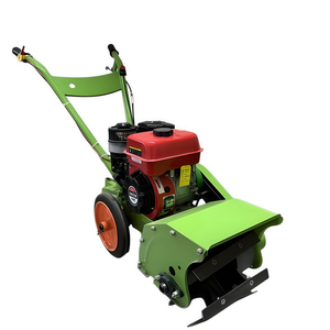 Motoculteur compact 170F à essence pour l'aération des sols maraîchers, <span class=keywords><strong>entretien</strong></span> simple - Product Image 5