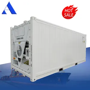 Thermo King Refrigerated Cooler Reefer Container 20ft Price for Sale