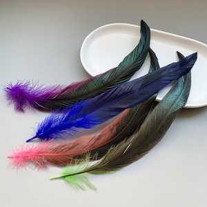 Plumas <span class=keywords><strong>de</strong></span> <span class=keywords><strong>Gallo</strong></span> Coloridas, Rectas <span class=keywords><strong>y</strong></span> Teñidas, <span class=keywords><strong>de</strong></span> 25-30 cm, Plumas <span class=keywords><strong>de</strong></span> Pollo para Decoración <span class=keywords><strong>de</strong></span> Cócteles, Accesorios <span class=keywords><strong>de</strong></span> Vestuario para Espectáculos - Product Image 4