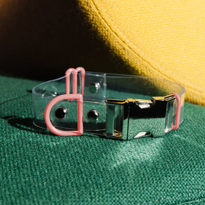 2022 nuevo diseñador de lujo PVC <span class=keywords><strong>Collar</strong></span> de perro impermeable personalizado al por mayor patrón sólido muestra gratis para aplicación de gatos - Product Image 6
