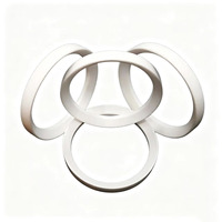 Joint de valve en PTFE de précision, vierge, durable, résistant à l'usure, aux produits chimiques et aux hautes températures, pour approvisionnement en vrac