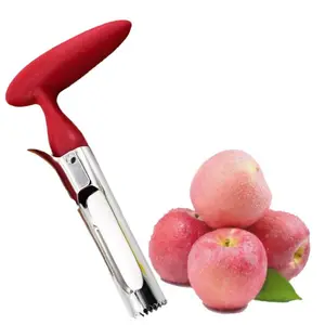 Nova Chegada Fuji Honeycrisp Gala E Rosa Senhora Maçãs para Peras De Aço Inoxidável Apple Cortador De Núcleo Faca Corers FruitCorer