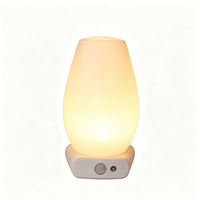 Abnehmbare Taschenlampen-förmige LED-Nachtlampe, Warmweiß, Steckbar, Wiederaufladbar, ABS-Material, Modernes Niedliches Design für Schlafzimmer