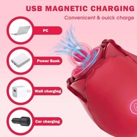 Puissant stimulateur clitoridien USB en forme de rose, capable de sucer le clitoris pour une stimulation intense, un jouet sexuel féminin