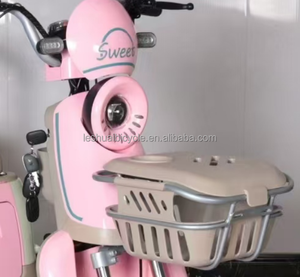 Tricycle électrique à 3 roues en acier EEC Trice 300-8 48V avec moteur de moyeu arrière de 600W pour adultes et personnes âgées, carrosserie ouverte - Product Image 3
