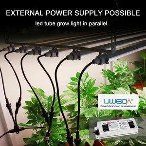 Lampada <span class=keywords><strong>LED</strong></span> T8 per Coltivazione Liweida, Spettro Personalizzabile 30-240cm, Collegabile in Serie, IP65, per Fioritura di Fragole - Product Image 2