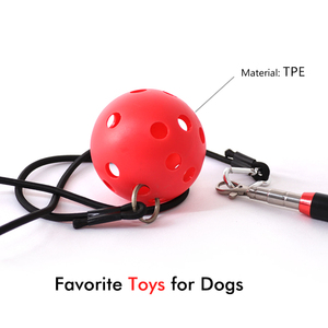 קל לשימוש בפלרטט נירוסטה מוט טלסקופי ספורט ובידור צעצוע לחתולים וכלבים - Product Image 3