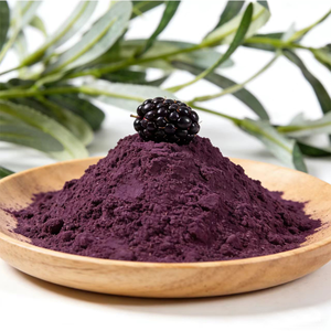 <span class=keywords><strong>Polvo</strong></span> de Jugo de Maquiberry al por Mayor de Fairir, <span class=keywords><strong>Polvo</strong></span> de <span class=keywords><strong>Maqui</strong></span> Berry Orgánico de Alta Calidad - Product Image 2