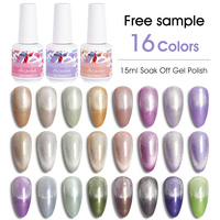 MissGel fournisseur professionnel d'ongles 16 couleurs 15ML UV/LED pigment magnétique pinceau facile sur échantillon gratuit ensemble de gel pour les yeux de chat quantité minimale de commande LOW