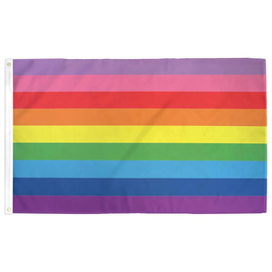 Vente chaude 3x5 FT Gilbert Baker Pride Drapeau 9 Couleurs Rainbow Drapeaux LGBT Drapeau Imperméable et Couleurs Vives - Product Image 2