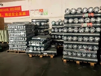 Paillis de sol en plastique noir pour couverture agricole robuste tissé en PP