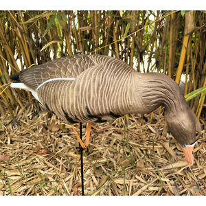 Señuelo de Aves Acuáticas Flotante Multiposición, Plegable, de EVA 3D, Cebo de Ganso de Plástico Suave para Caza al Aire Libre, Venta al por Mayor - Product Image 5