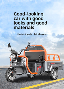 Daily <b>Transport</b> Electric Three Wheeler Light Body Safe Drive 100-300KG Bearing Trike - Product Image 3