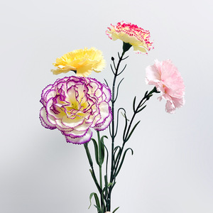 Flor Artificial de Clavel Individual de 10cm-30cm, Decoración para el Hogar, Accesorio para Bodas - Product Image 1