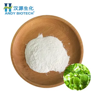 Manufacturer Supply Natural Sweetener Luo Han Guo Extract Monk Fruit Extract 30% Mogroside V Powder