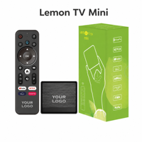 Boîtier TV intelligent Lemon TV Mini H618 2 Go 16 Go Android 12 4K Quad Core Double WiFi BT 5.4 Gestion des appareils via application Logo personnalisé OEM ODM