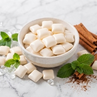Permen Karet Hidroksiapatit Remineralisasi Lanjutan - Bebas Gula dengan Xylitol - Kesehatan Gigi