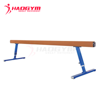 Barres parallèles de gymnastique HAOGYM, barres parallèles scolaires, haute qualité