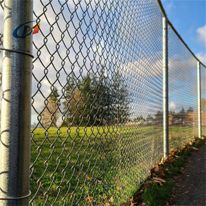 Clôture en fil cyclonique de calibre 10, 4 pieds <span class=keywords><strong>à</strong></span> 80 pieds, clôture en treillis soudé galvanisé <span class=keywords><strong>à</strong></span> chaud <span class=keywords><strong>pour</strong></span> les chantiers de construction et les terrains de sport - Product Image 2