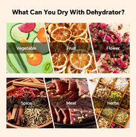 24-bakjes commerciële voedseldroger, machine voor fruit en groenten, industriële beef jerky droger, voedseldehydrator