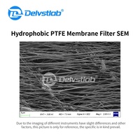 Filtre à membrane microporeuse en PTFE hydrophobe Delvstlab pour laboratoire