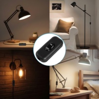 Sakelar Tombol On Off, Sakelar Kabel Kontrol DPST untuk Lampu Meja Kamar Tidur, Lampu LED Meja, Peralatan Rumah Tangga