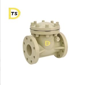 PP PPH UPVC PVDF <span class=keywords><strong>clapet</strong></span> <span class=keywords><strong>anti</strong></span>-<span class=keywords><strong>retour</strong></span> Dn50 <span class=keywords><strong>100</strong></span> 150 <span class=keywords><strong>clapet</strong></span> <span class=keywords><strong>anti</strong></span>-<span class=keywords><strong>retour</strong></span> en plastique <span class=keywords><strong>clapet</strong></span> <span class=keywords><strong>anti</strong></span>-<span class=keywords><strong>retour</strong></span> PVC - Product Image 3