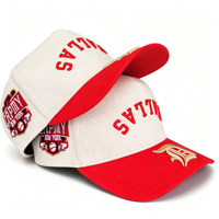 Casquette de baseball personnalisée à 5 panneaux avec logo brodé en 3D, chapeaux en coton à chevrons de haute qualité, casquette de sport ajustable à fermeture snapback, personnalisée